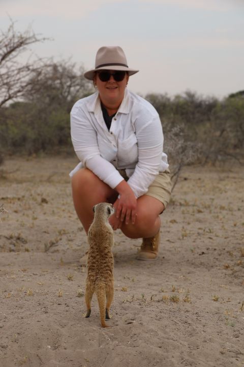 Stokstaartje in Makgadikgadi