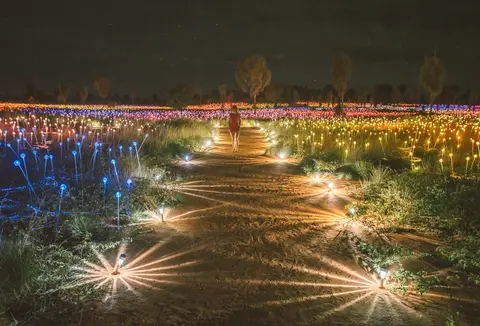Field of lights, Ayers Rock