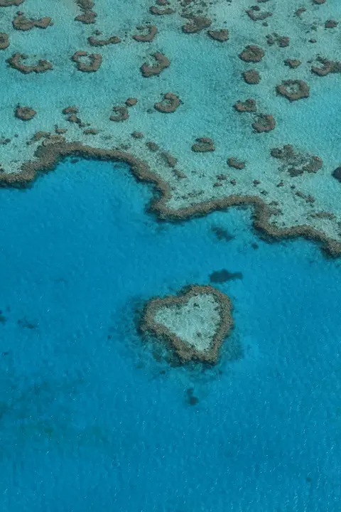 Heart Reef