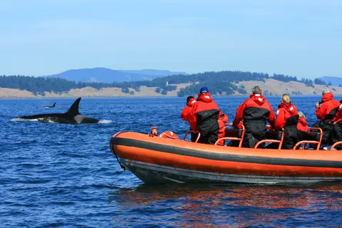 Zodiac tour vanuit Victoria