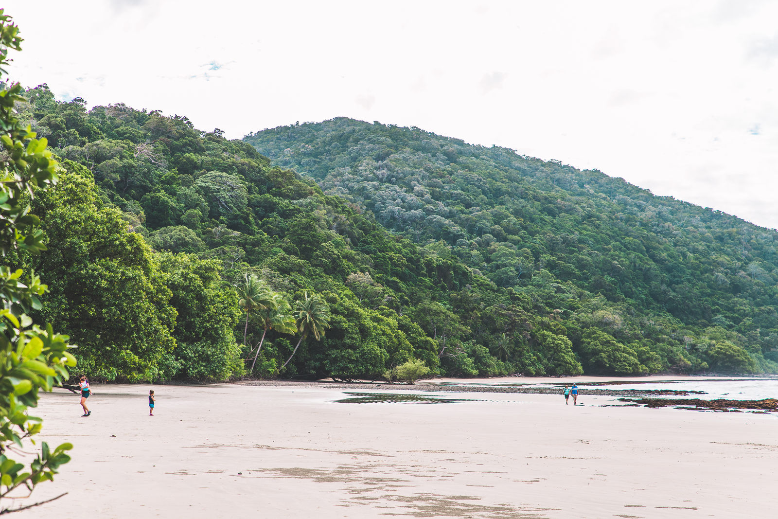 Cape Tribulation, Queensland