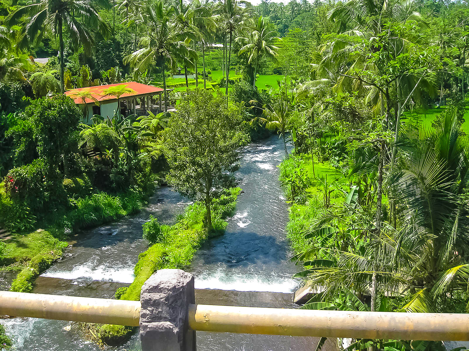 Ayung Rivier Bali
