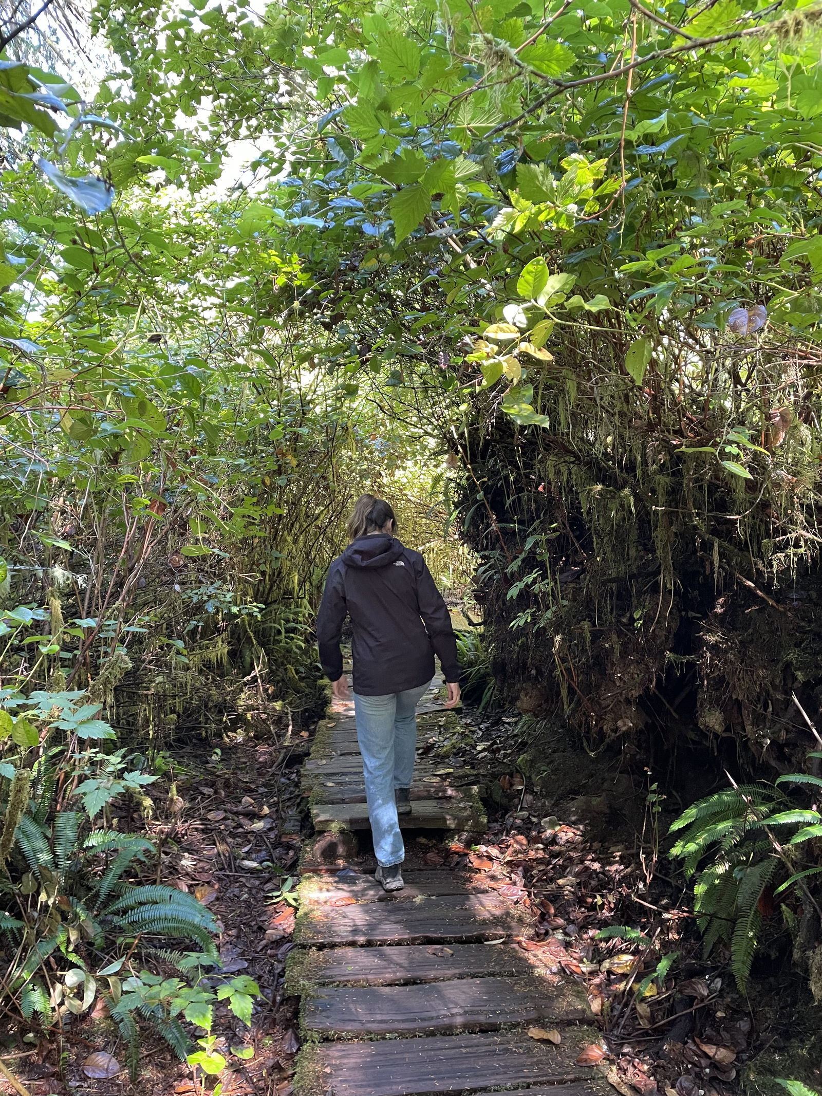 Pacific Rim National Park