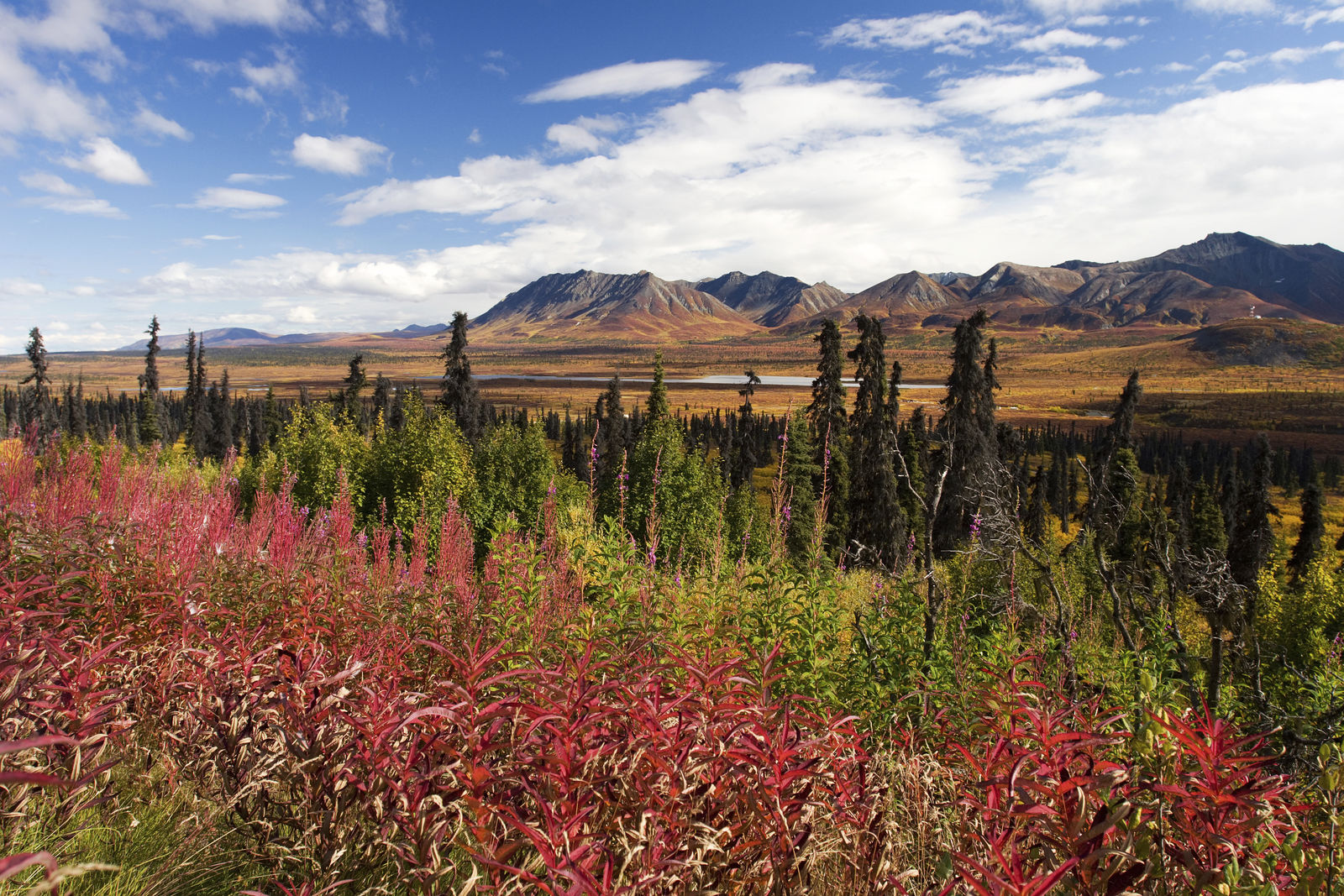 Glenn Highway