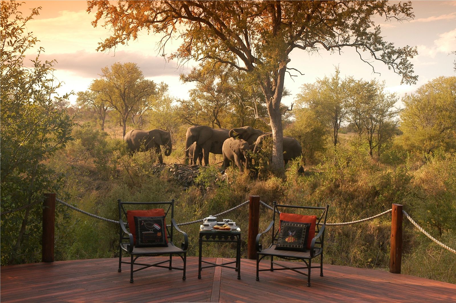 Hoyo Hoyo Safari Lodge in het Krugerpark