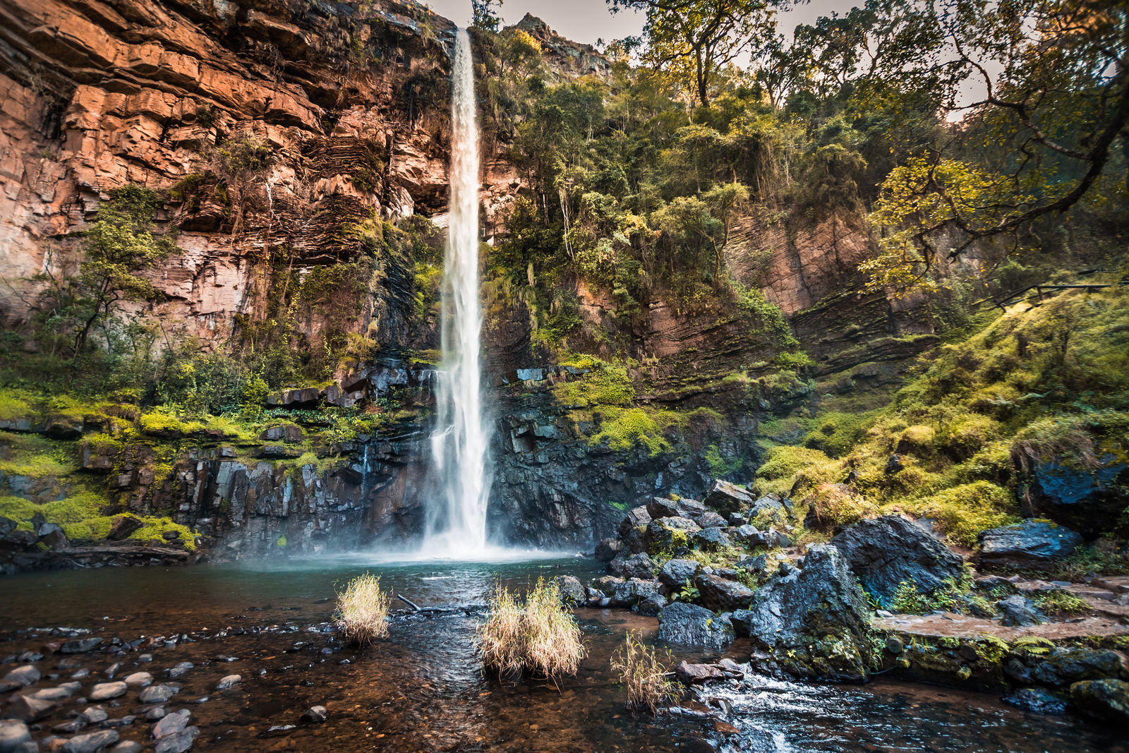 Lone Creek Falls