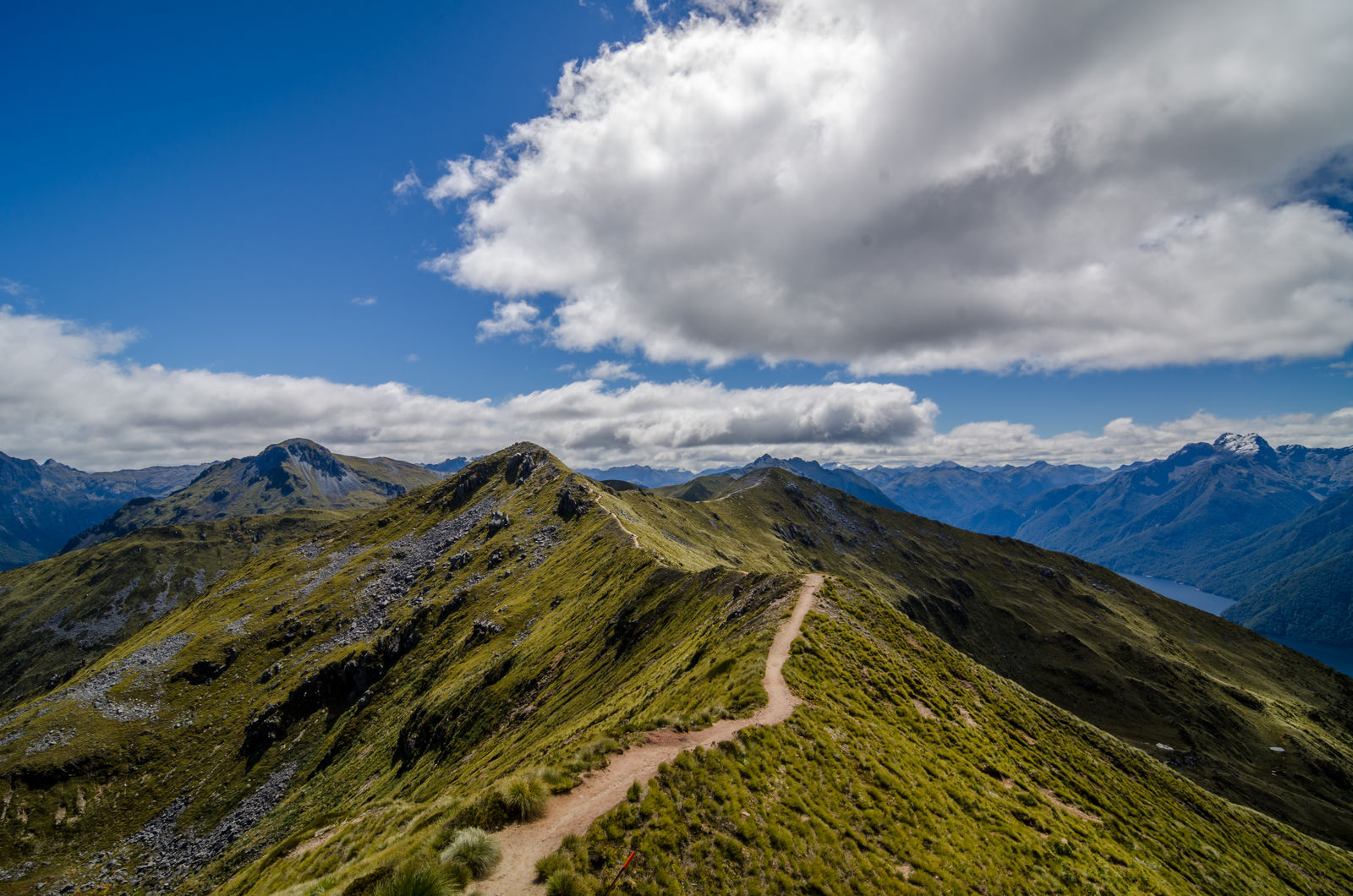 Kepler Track