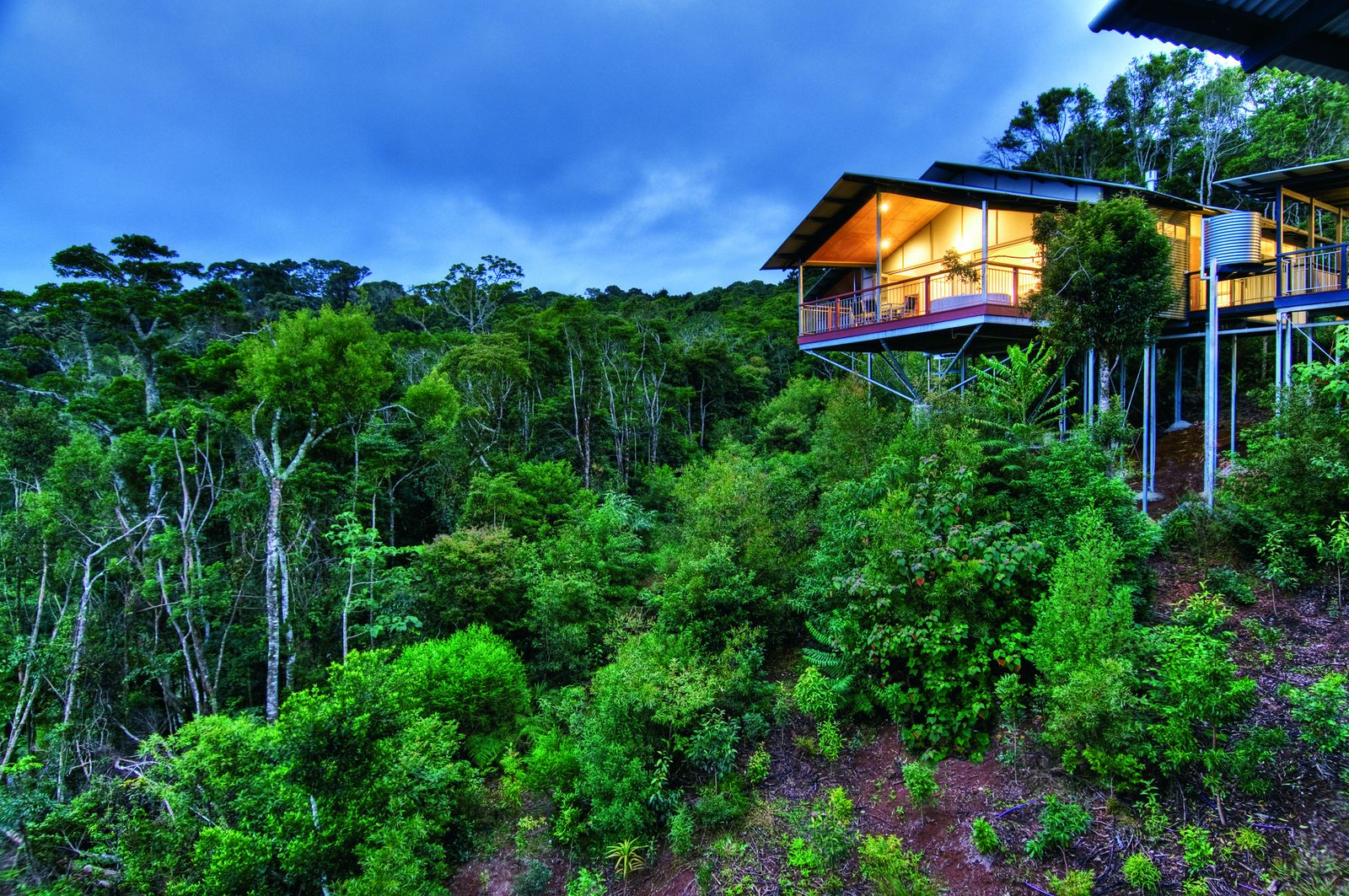 O'Reilly's Rainforest Retreat, Lamington National Park, Queensland