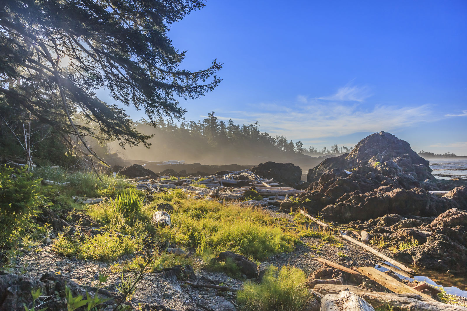Pacific Rim National Park