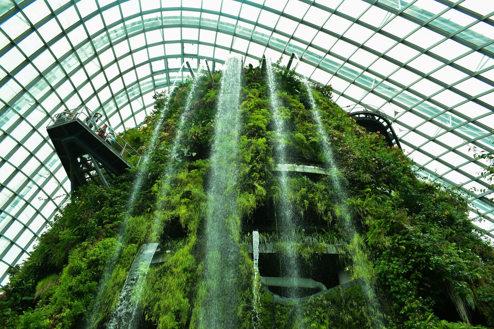 Cloud Dome Gardens by the Bay Singapore