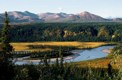 Natuur in Alaska