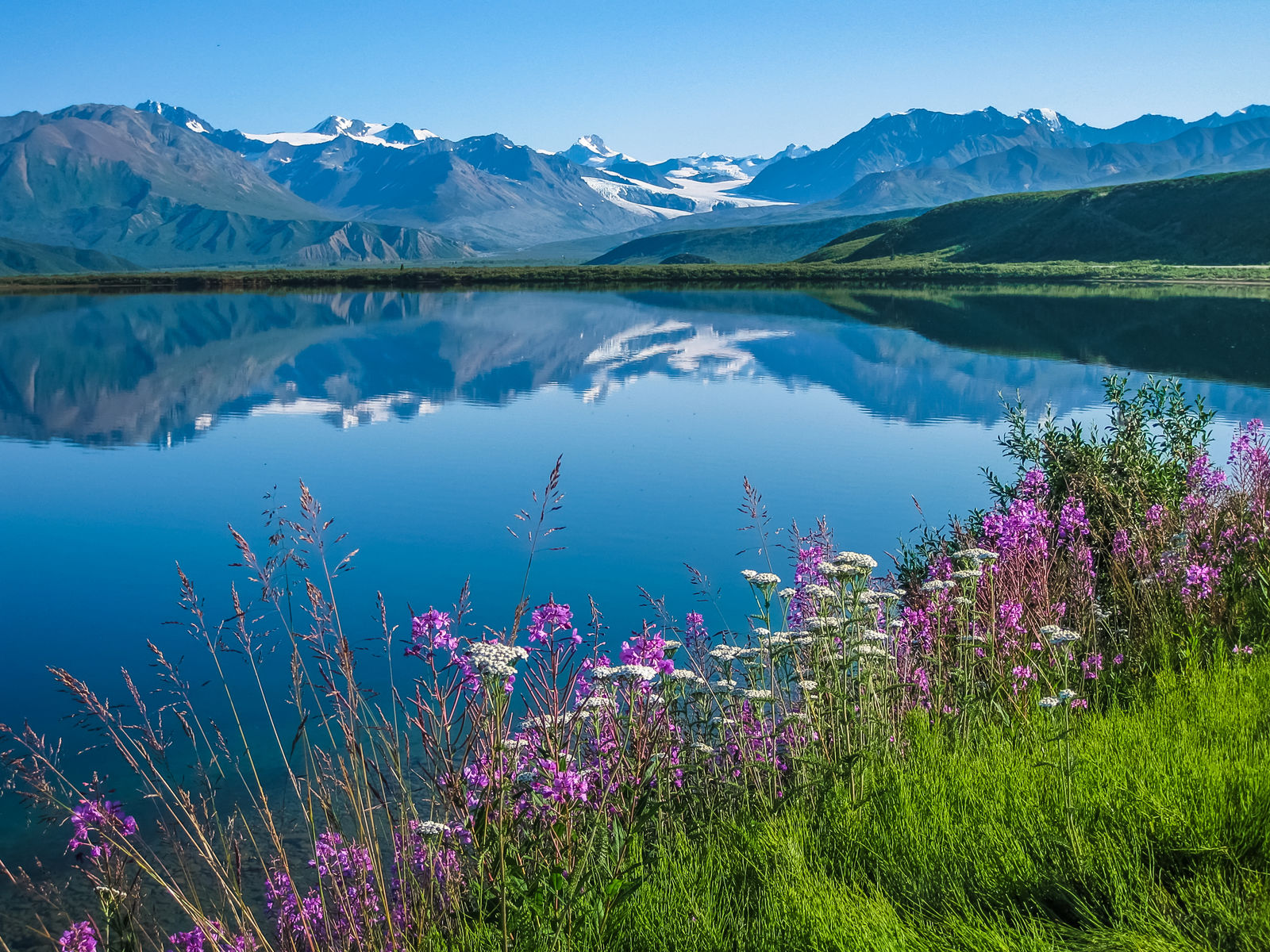 Tanana Valley in Alaska