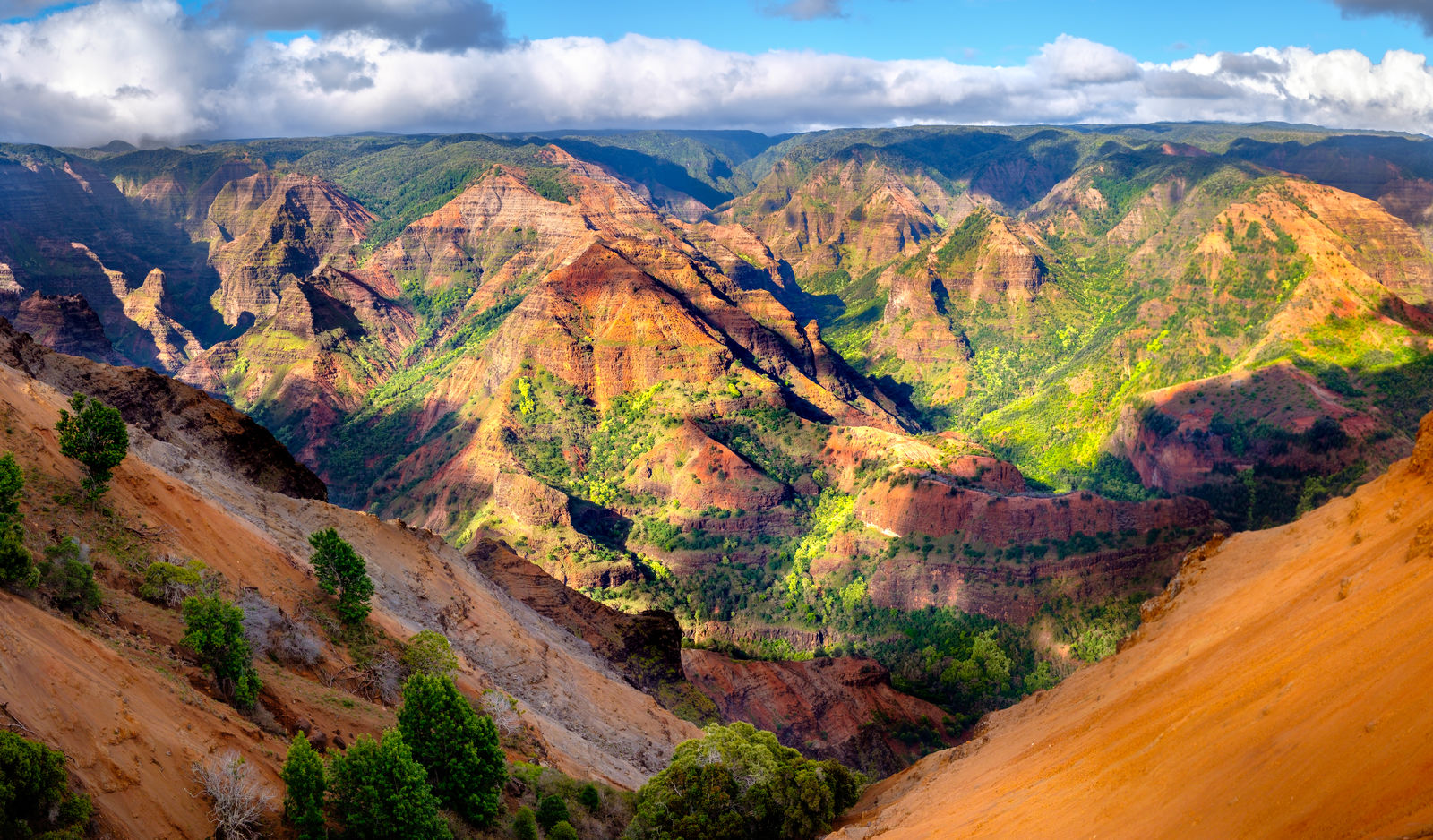 Waimea Canyon op Kauai, Hawaii