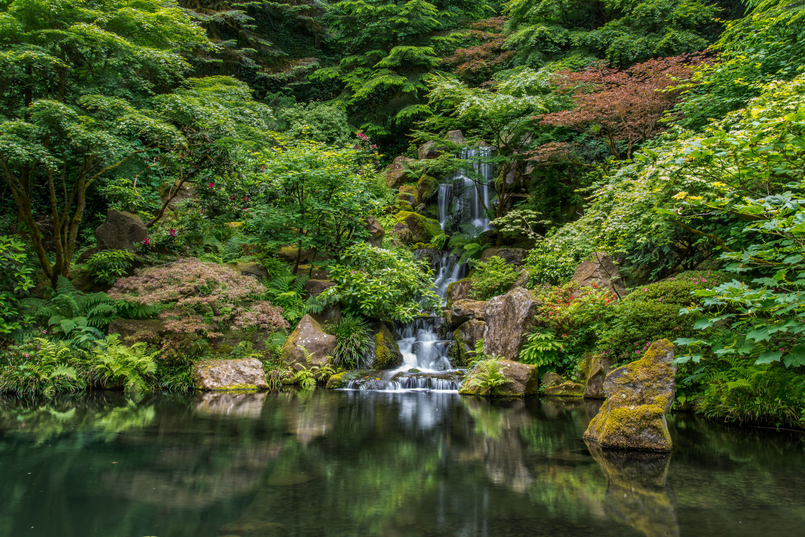 Japanse tuin in Portland