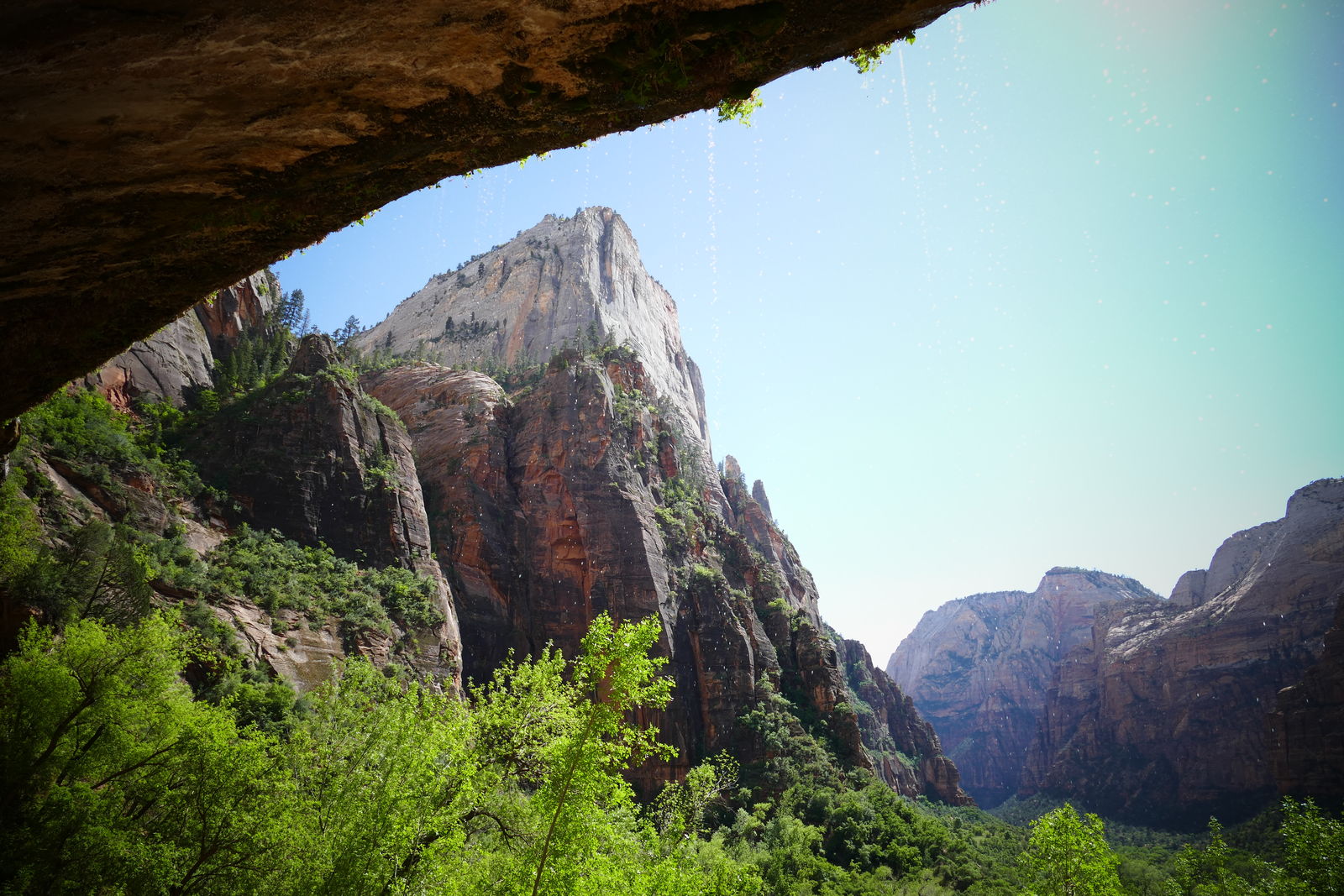 Wheeping Rock, Zion National Park