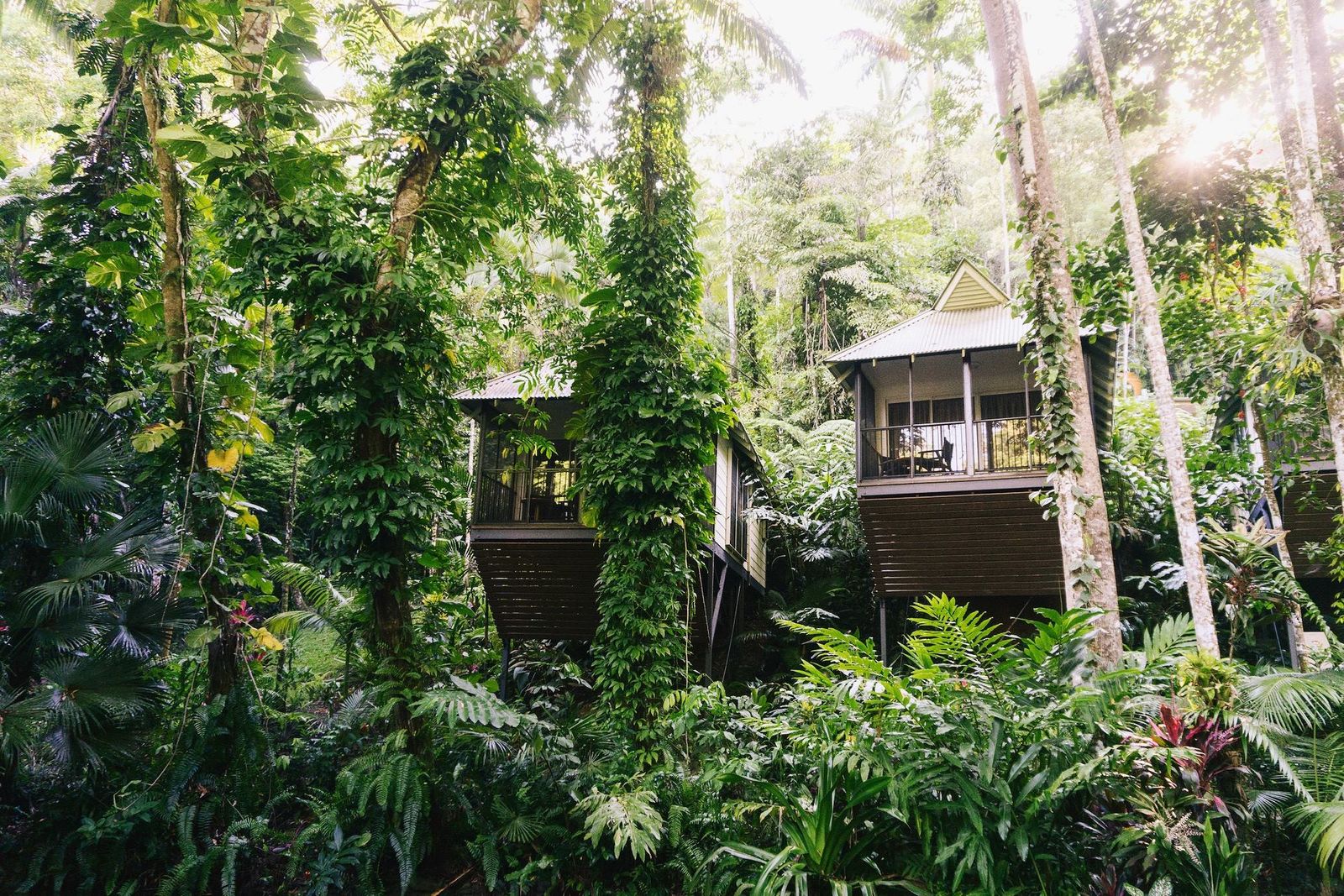 Daintree Ecolodge & Spa, Queensland