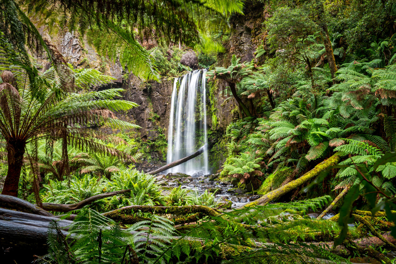 Hopetoun Falls, the Otways