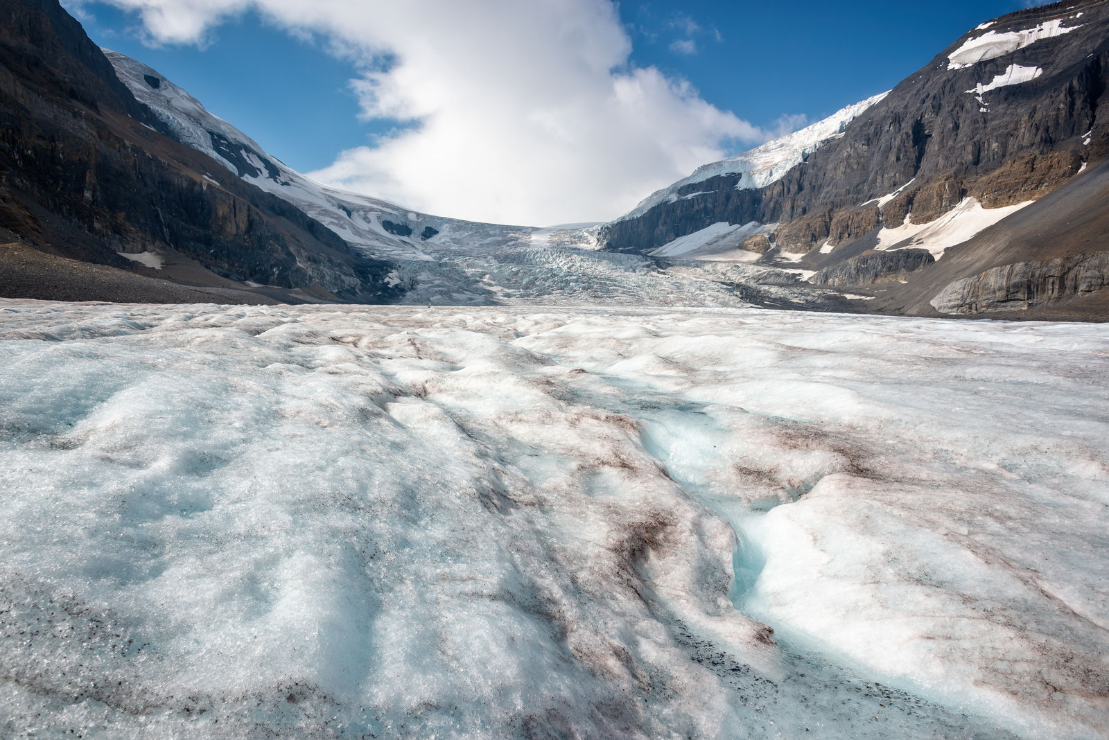 Athabasca Glacier, Columbia Icefield