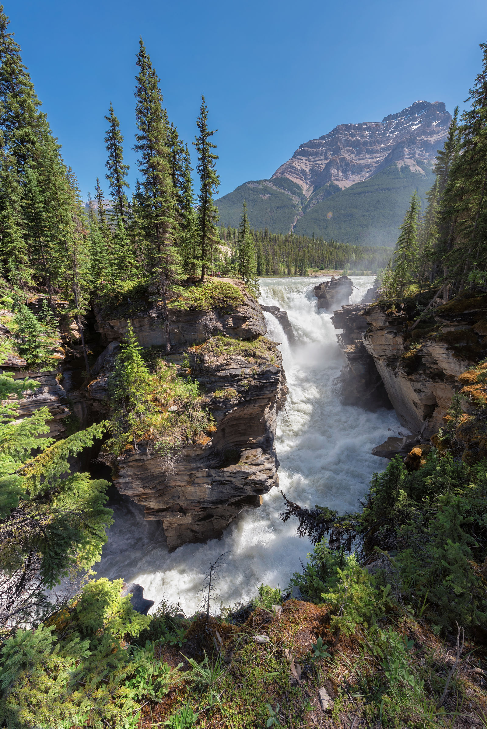 Athabasca Falls