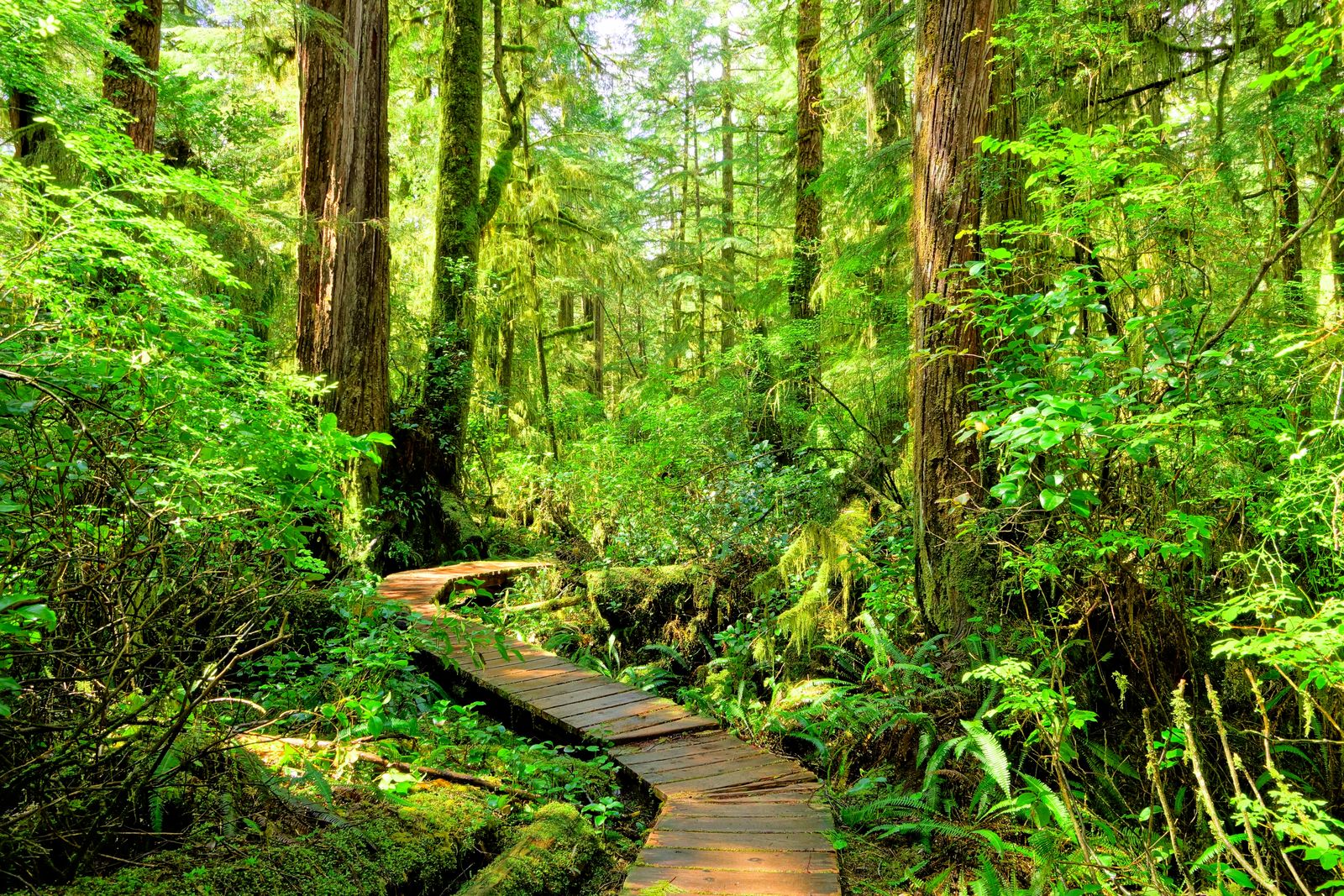 Pacific Rim National Park