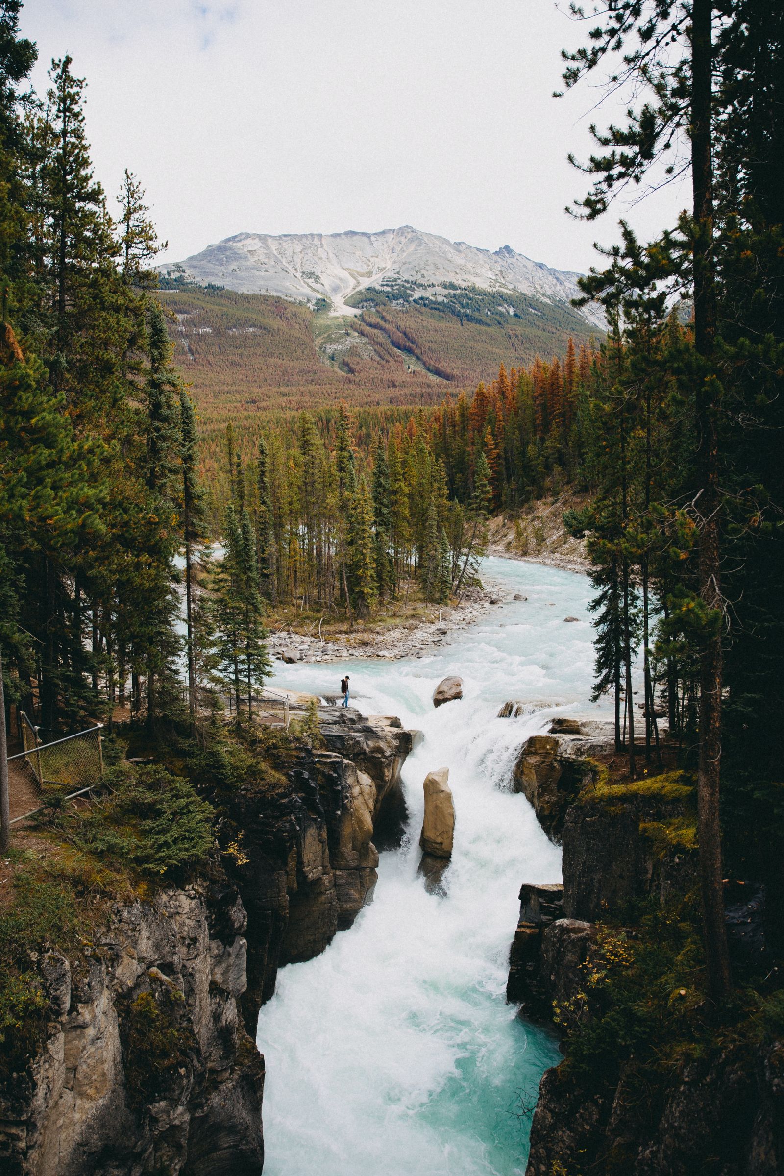 Sunwapta Falls aan de Icefields Parkway