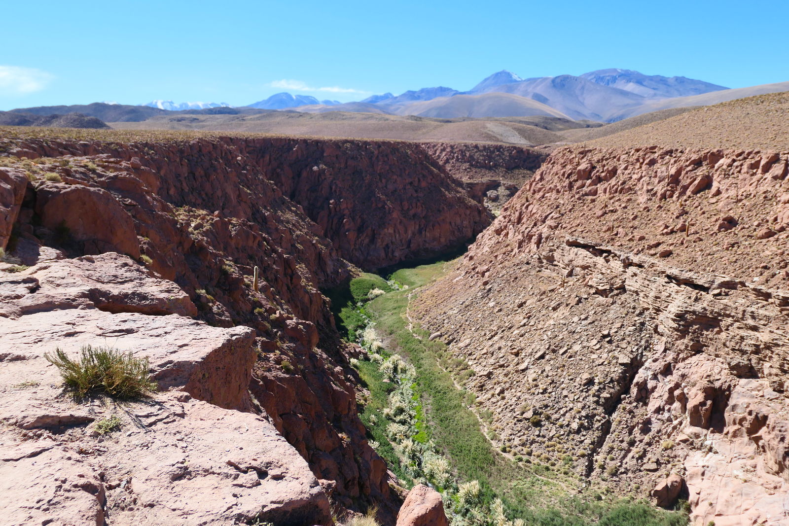 Guatin Canyon, Atacamawoestijn