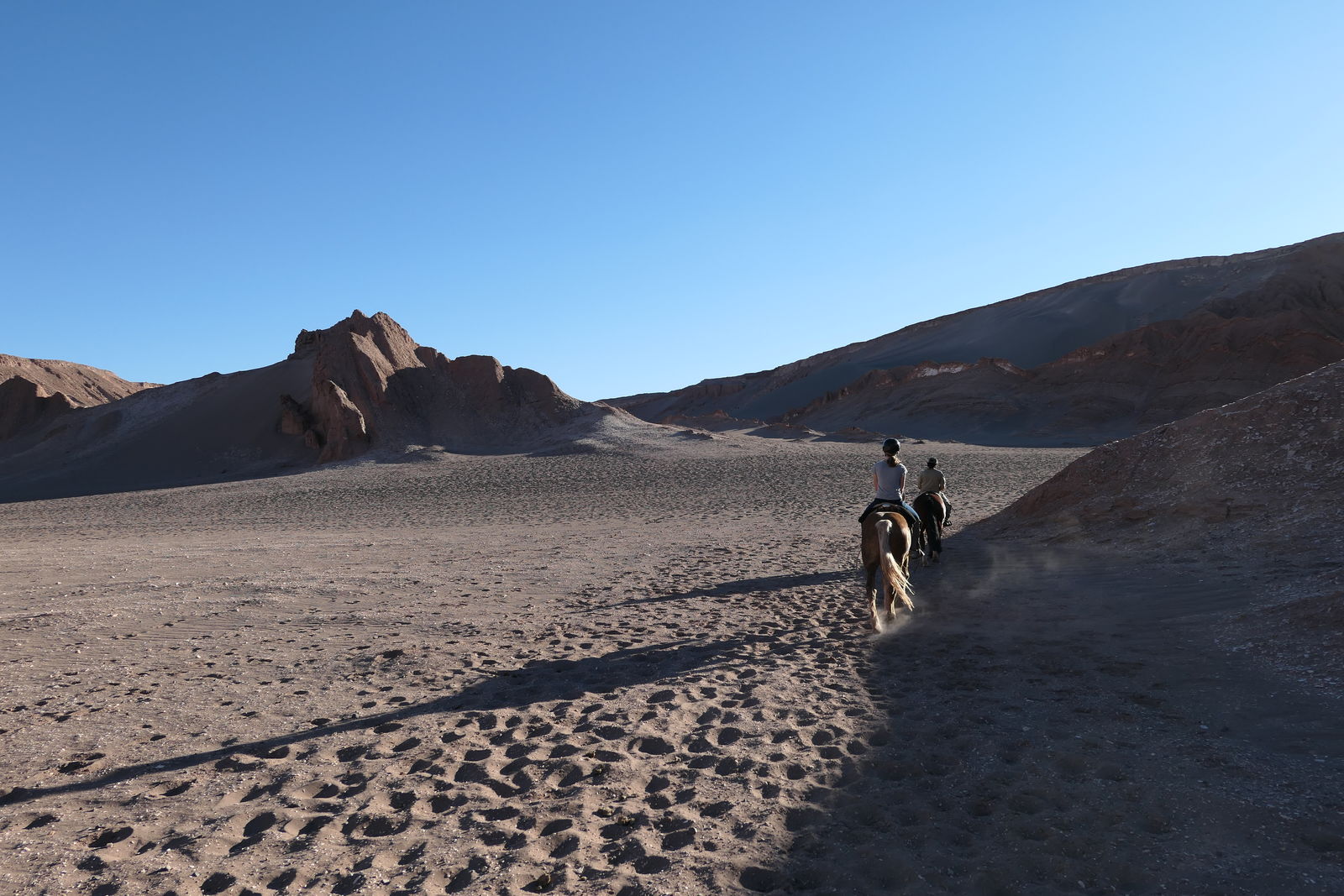 Paardrijden in Valle de la Muerta, Atacamawoestijn