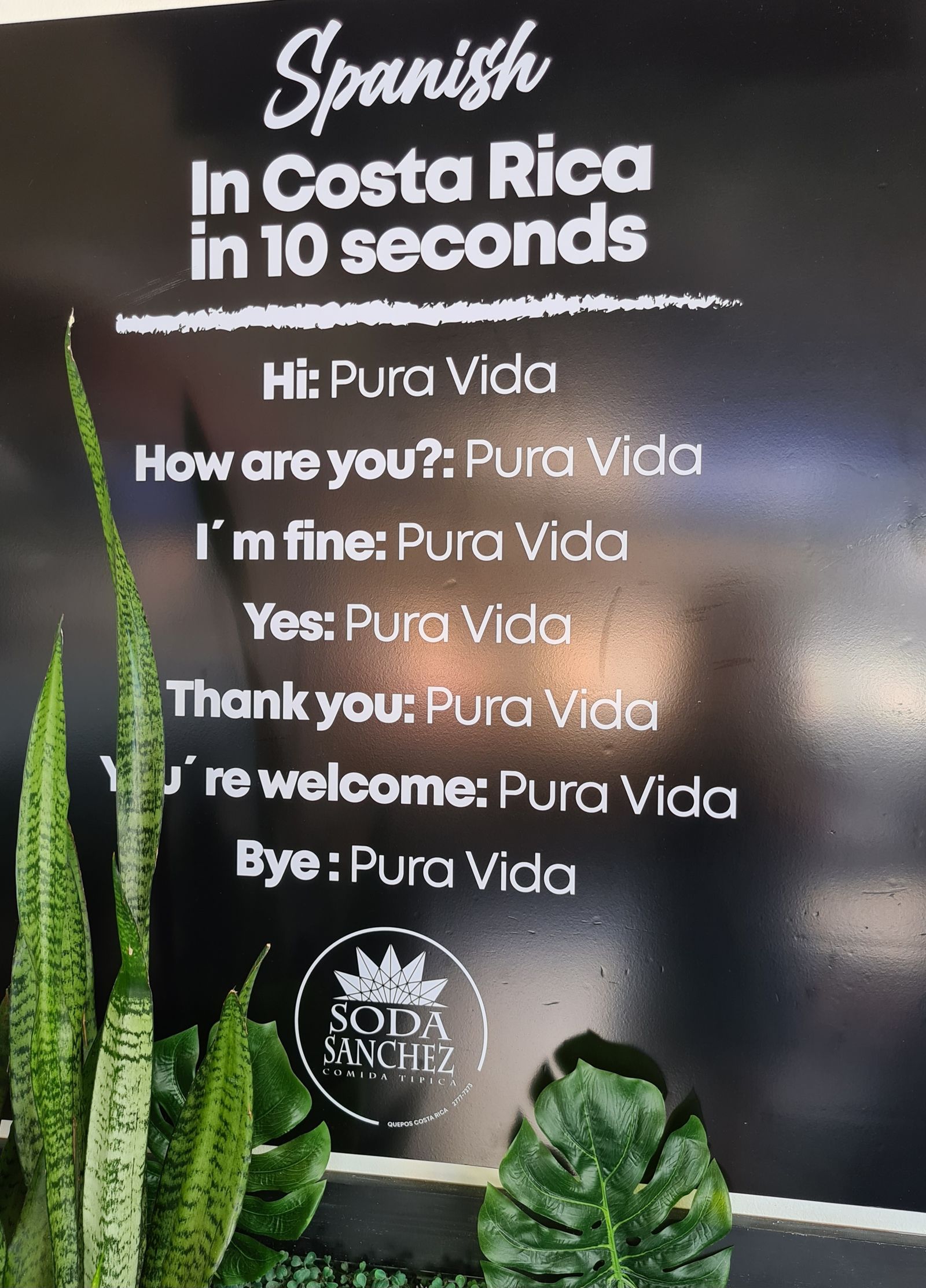 Pura Vida