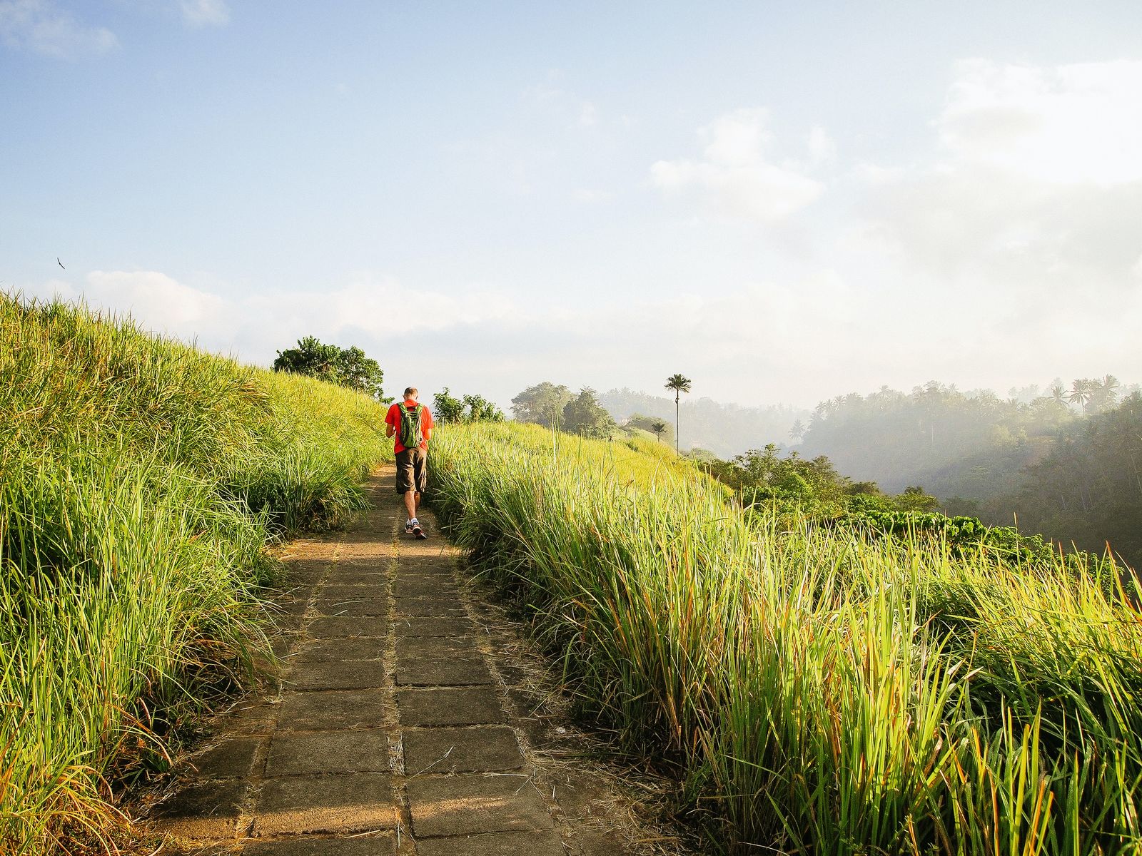 Campuhan Ridge Walk in Ubud