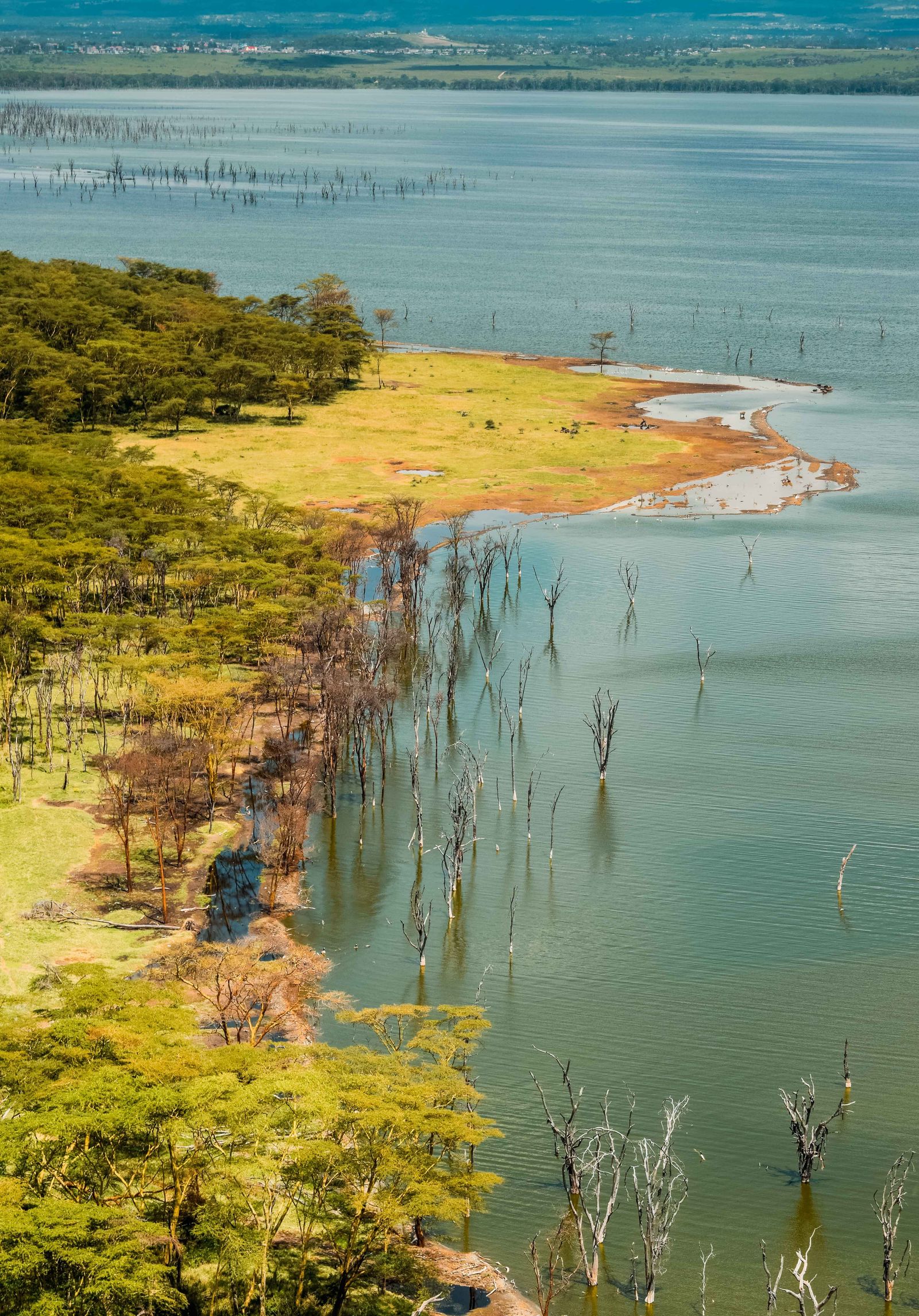 Lake Nakuru