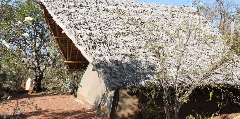 Maji Moto Eco Camp in Kenia