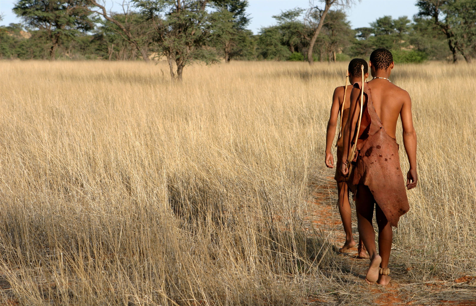 San bushmen in de Kalahari
