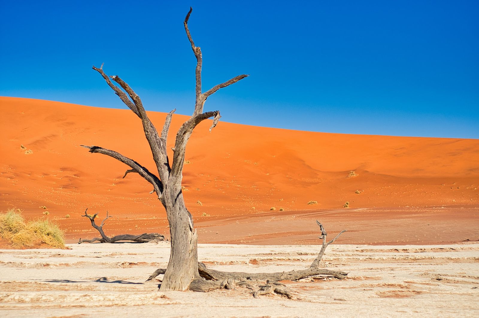 Deadvlei