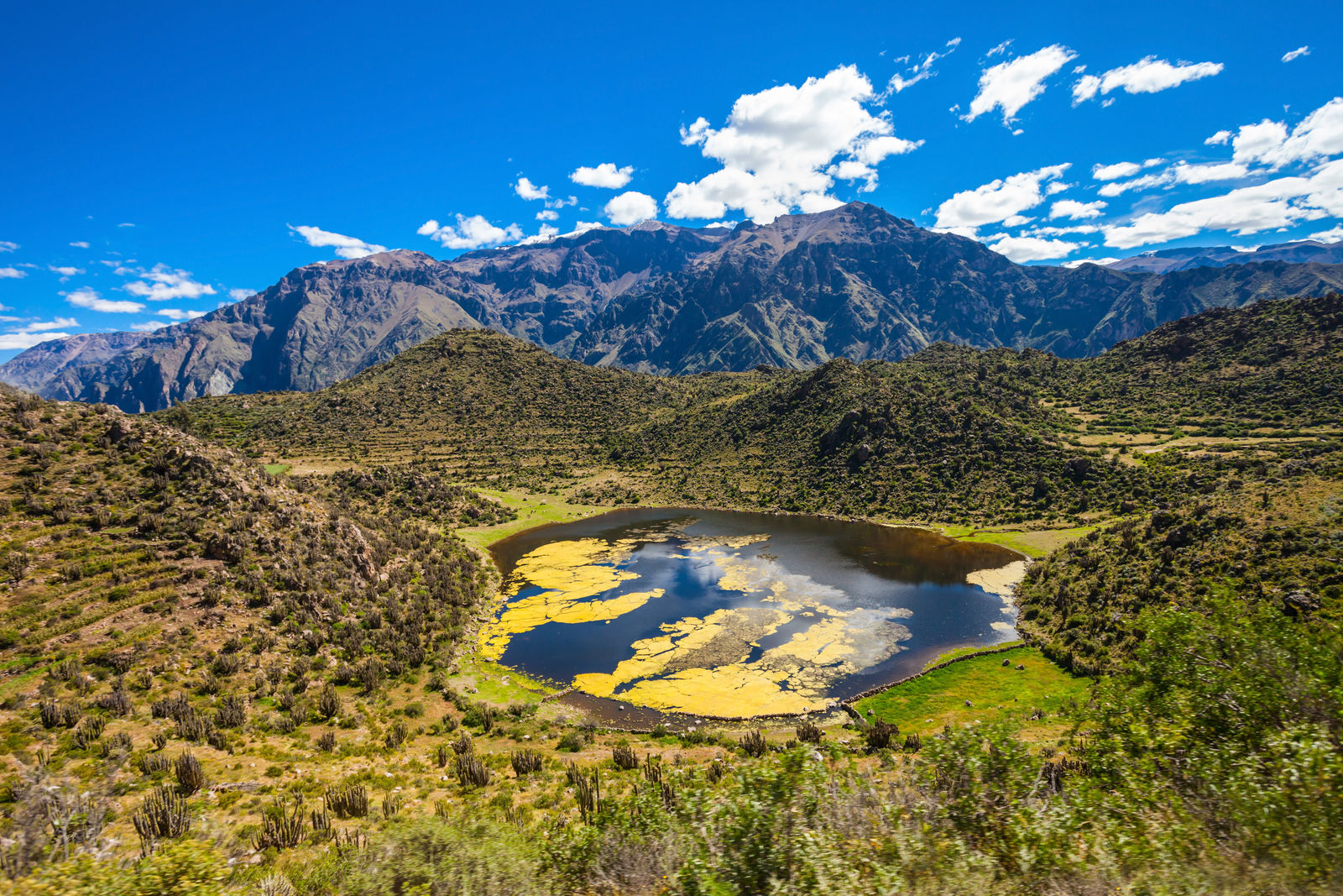 Colca Canyon