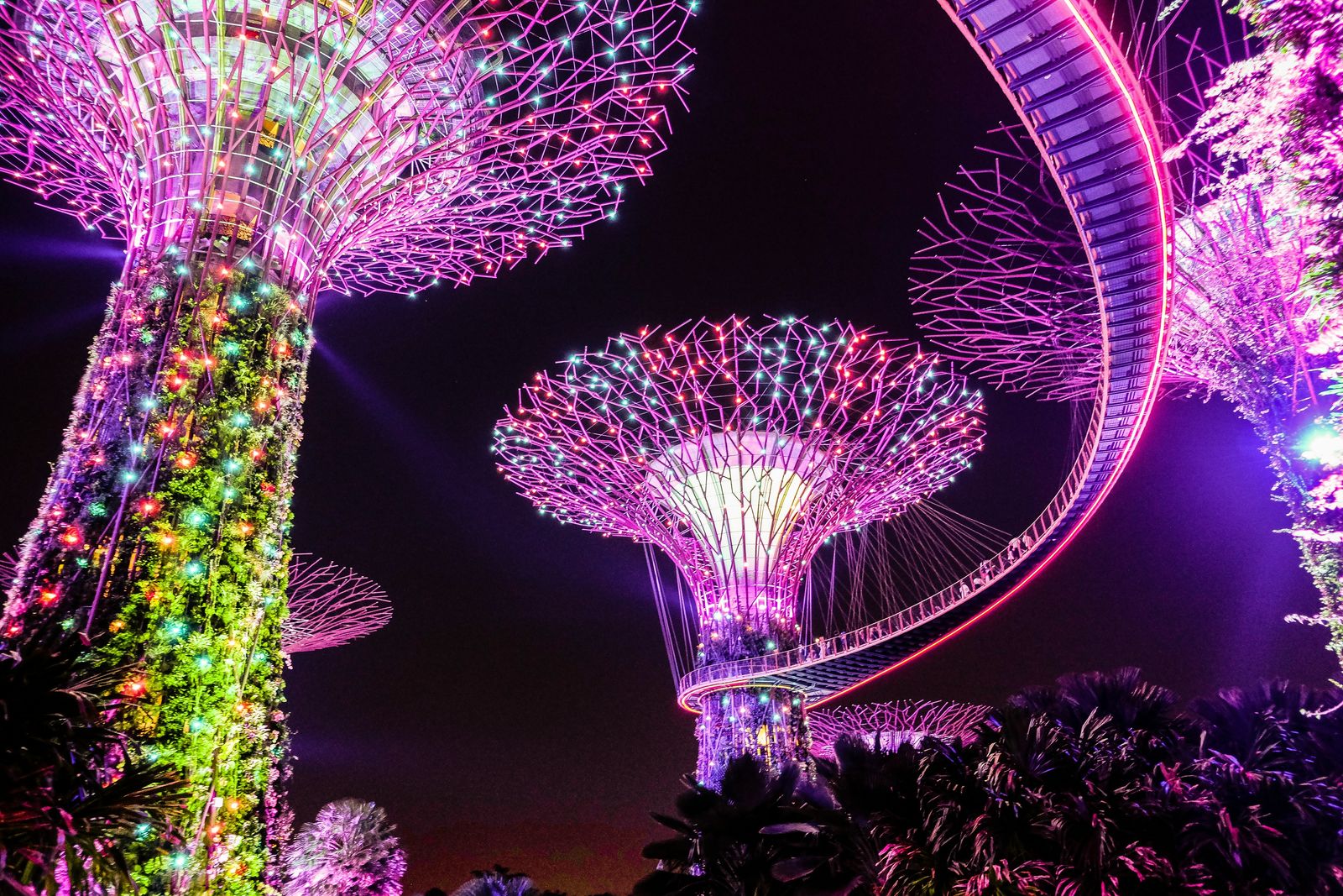 Lichtshow bij Gardens by the bay