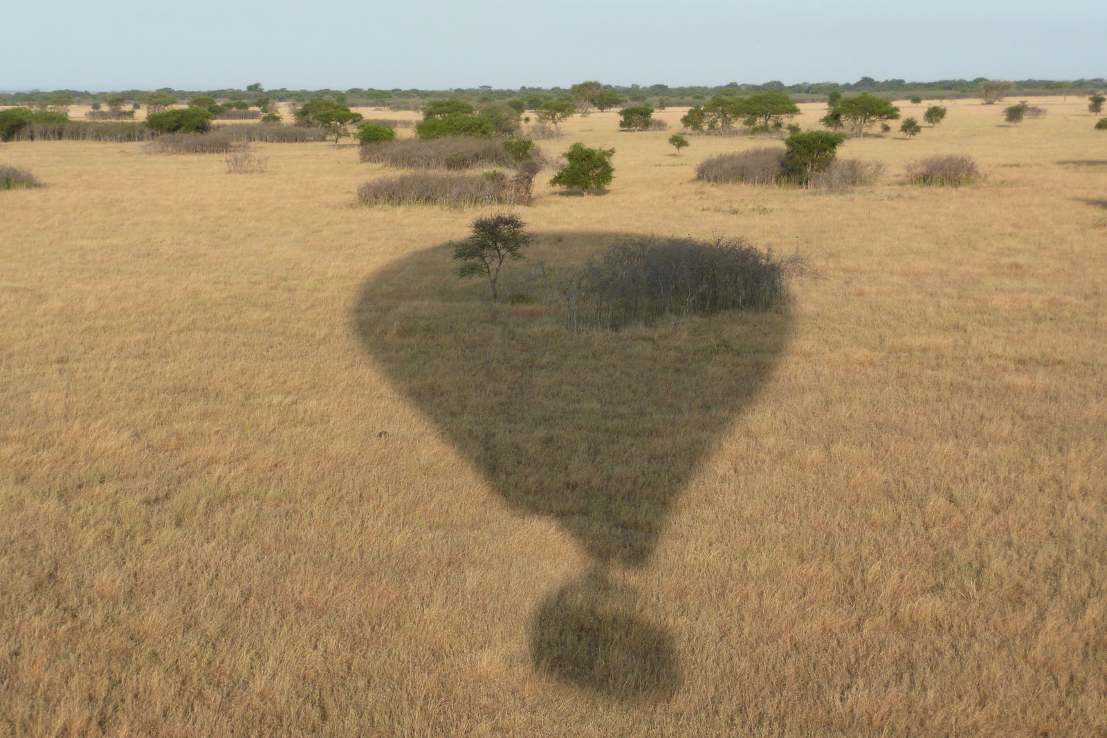 Met de luchtballon boven de Serengeti