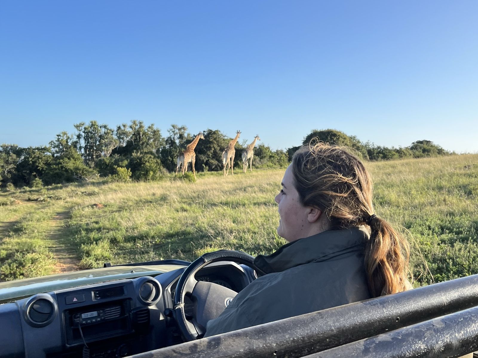 Op safari in het Kariega Game Reserve