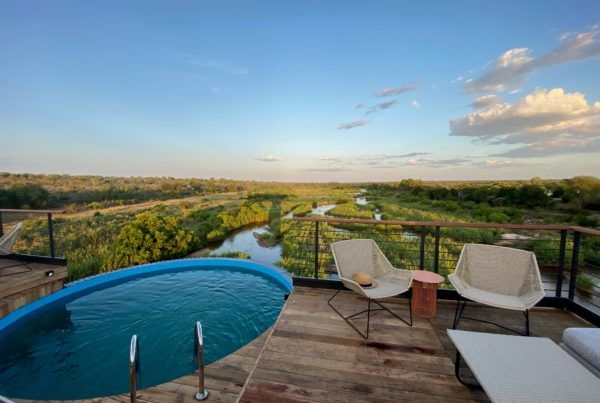 Kruger Shalati - Train on the Bridge