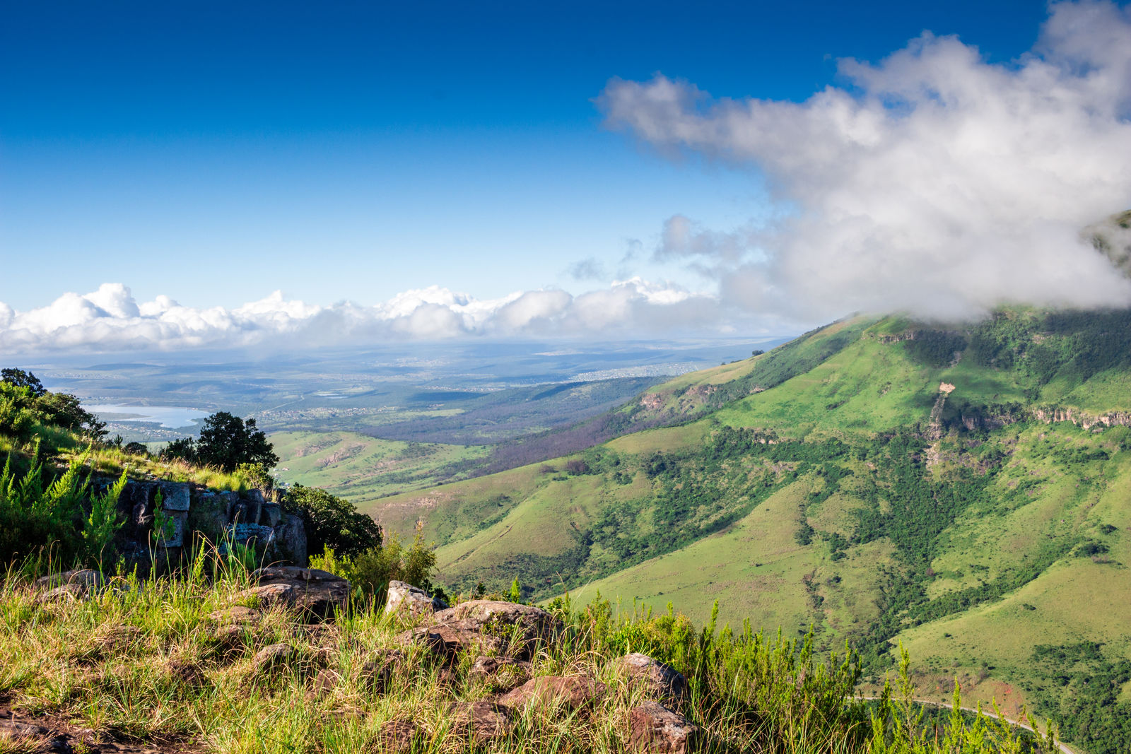 Hogsback