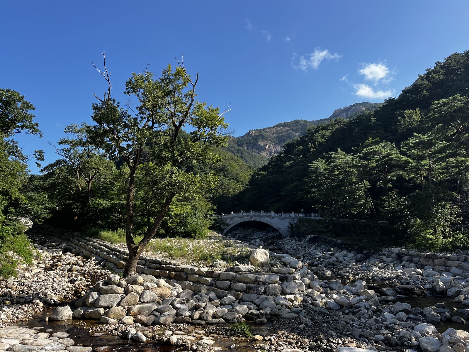 Brug in Seoraksan National Park