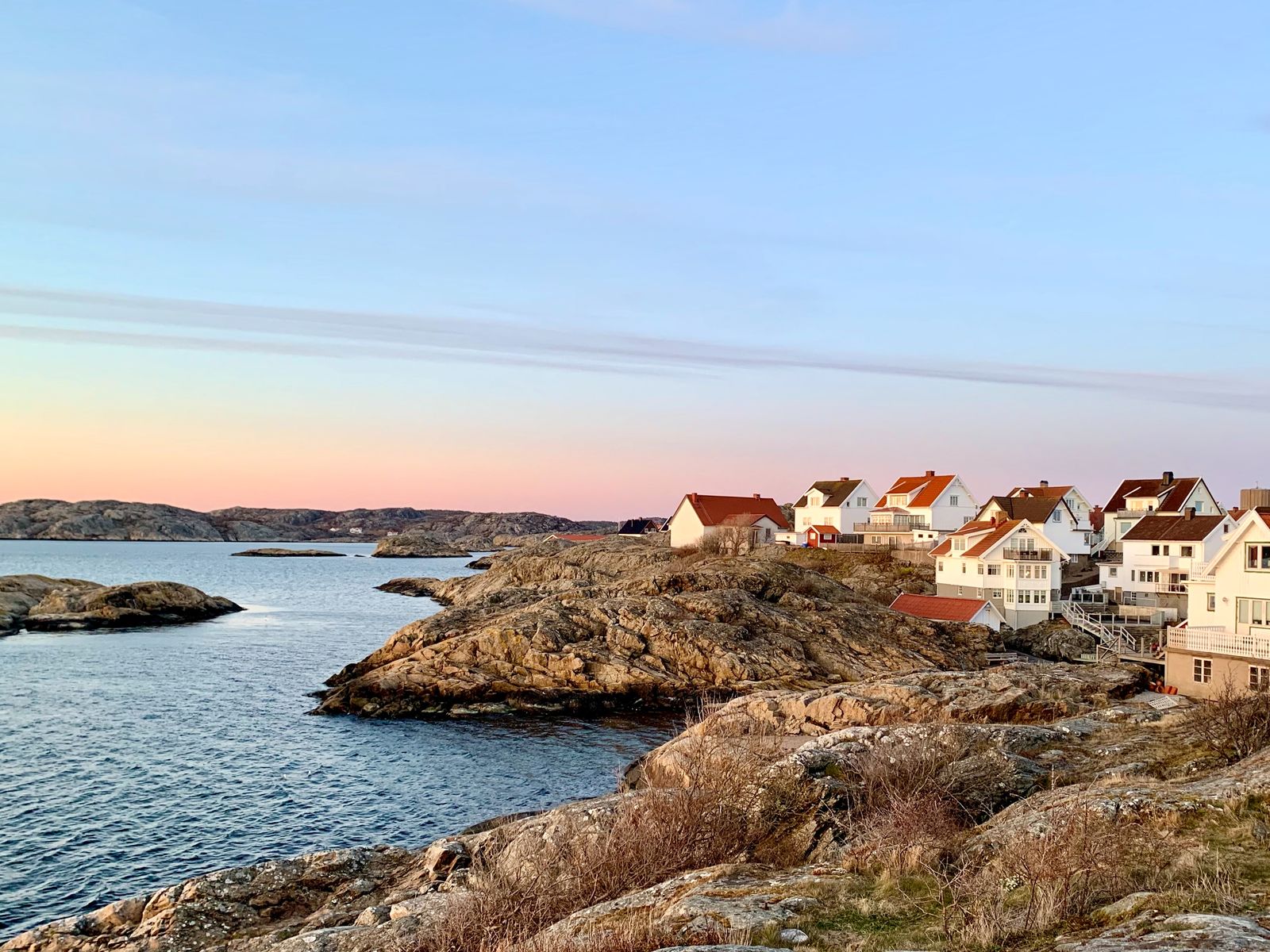 Tjörn