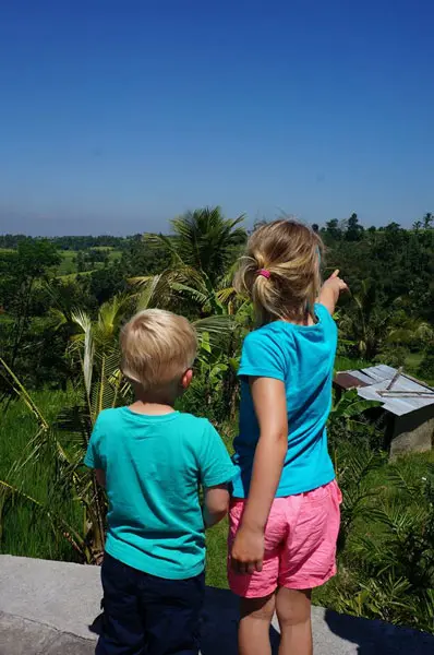 Rijstterrassen in Bali