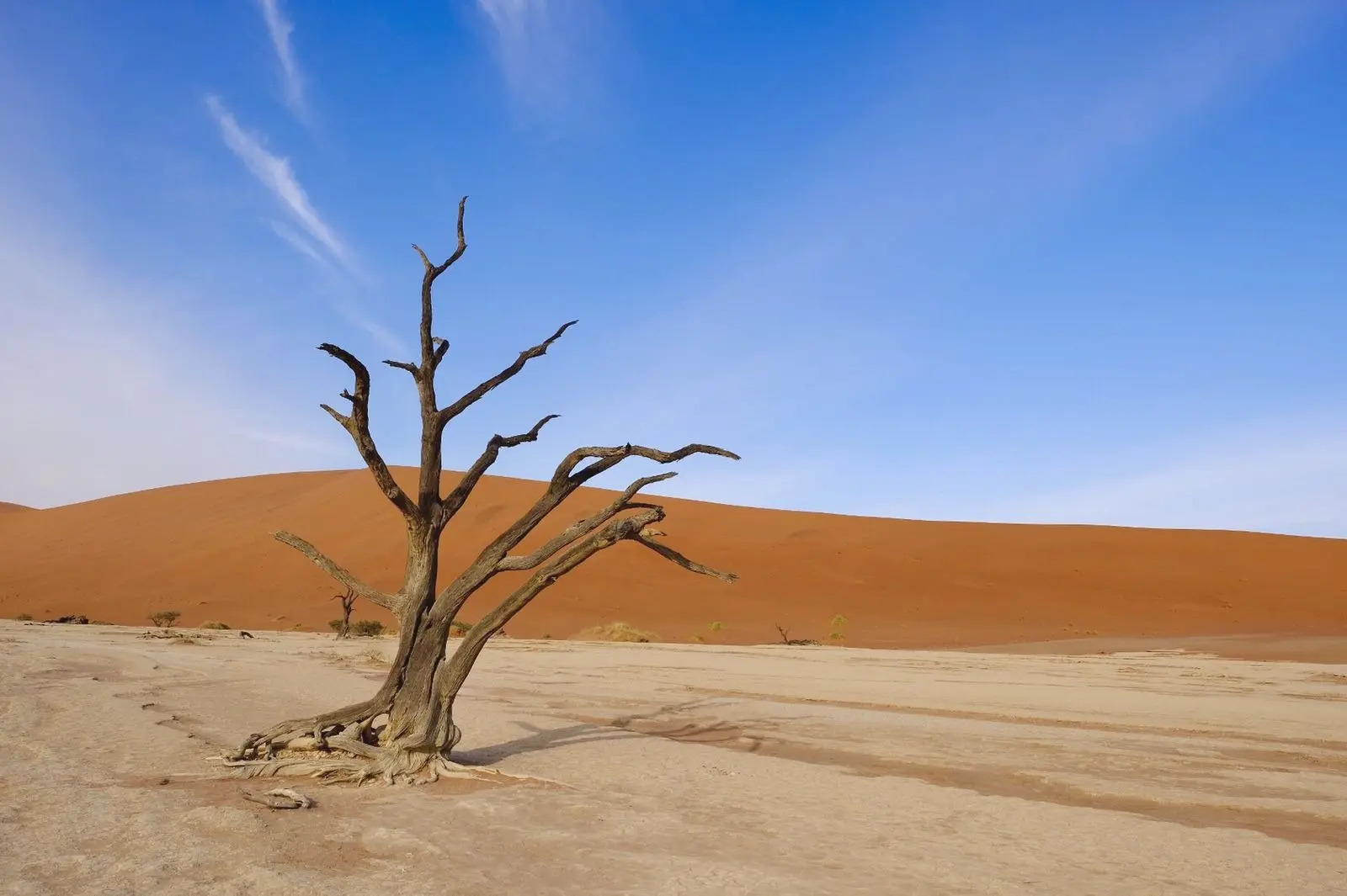 Deadvlei in Namibië