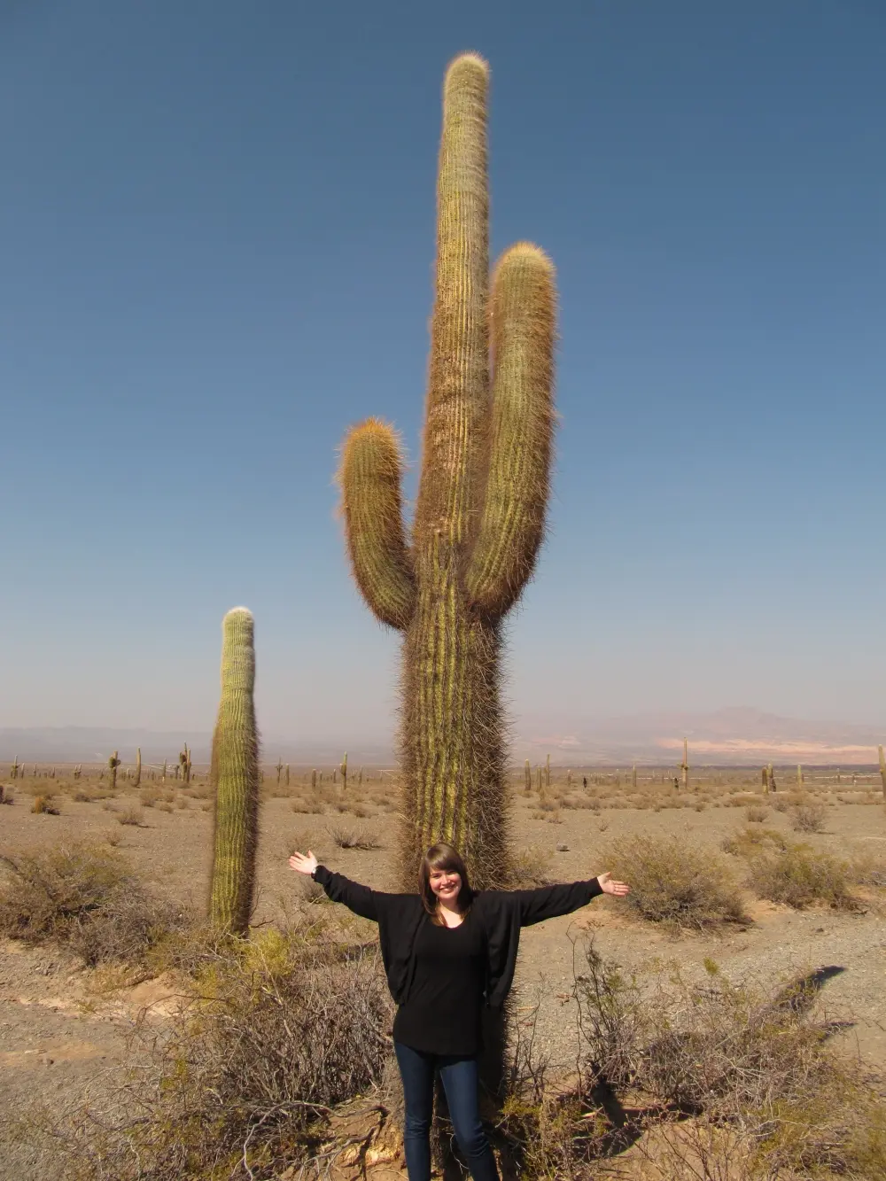 Reisspecialist Anouk in Los Cardones National Park