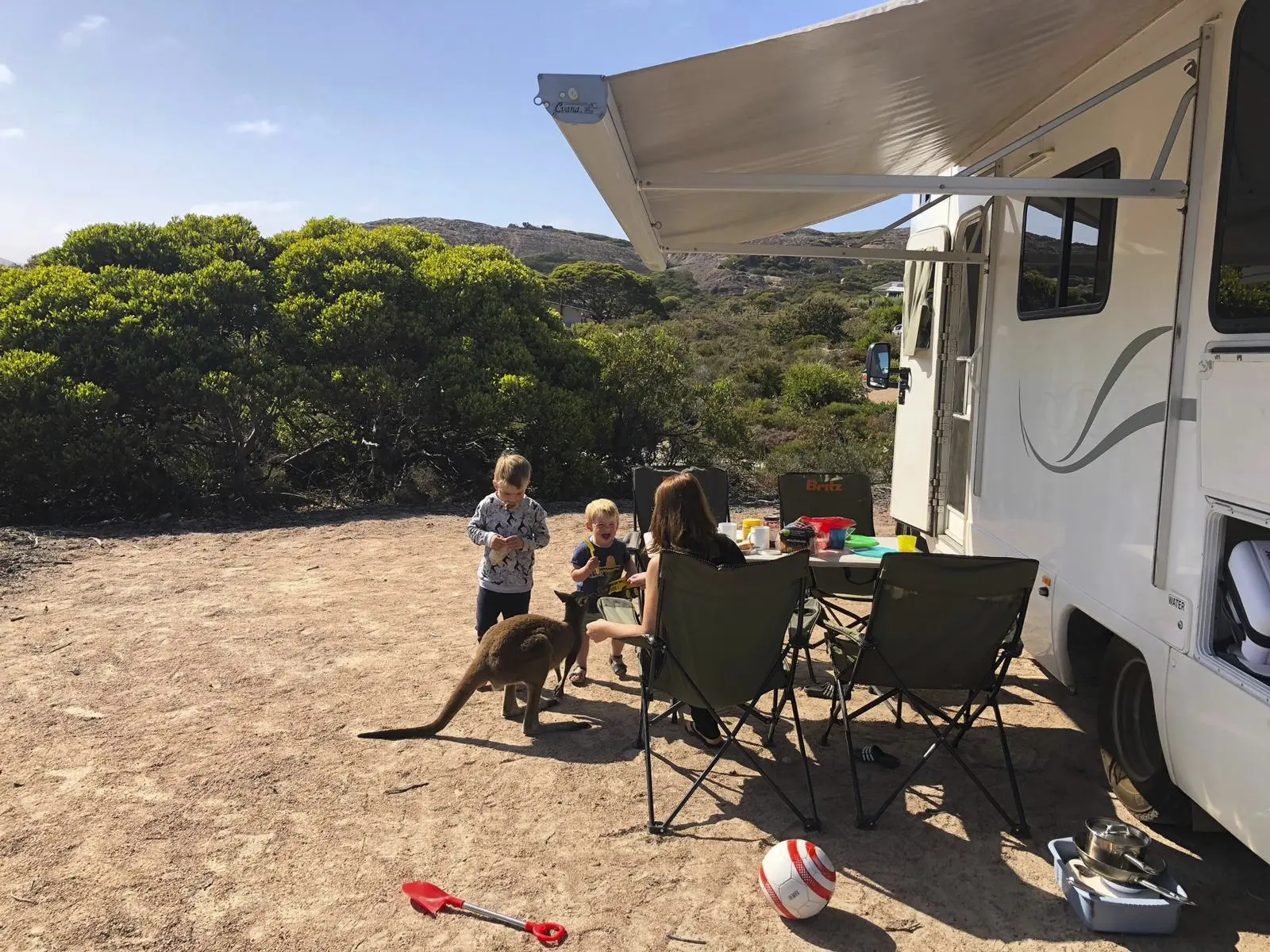 Ontbijten met een wallaby voor de camper
