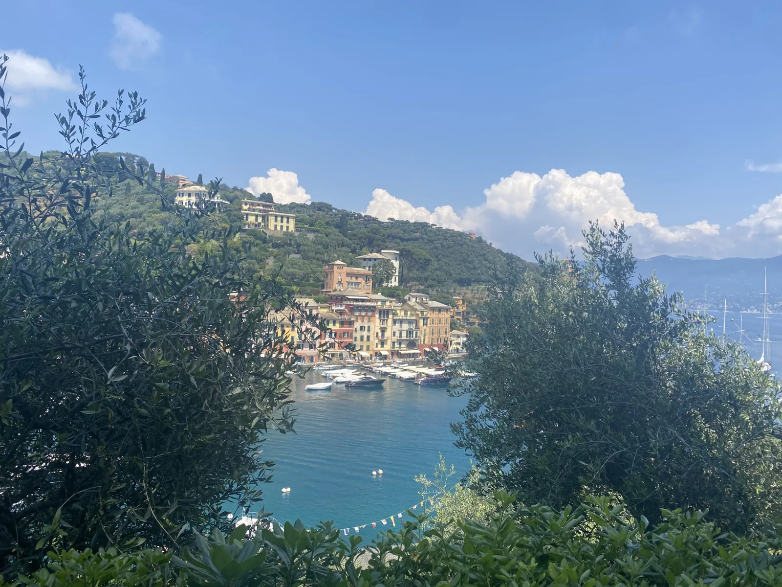Haven van Portofino in Italië