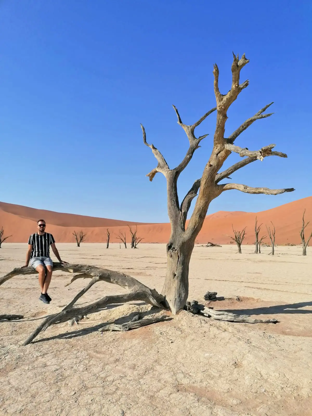 Reisspecialist Bart in de Deadvlei