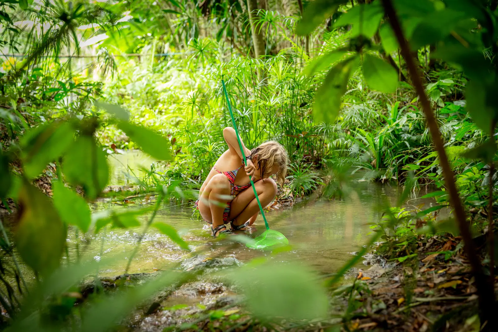 Spelen in de jungle van Thailand