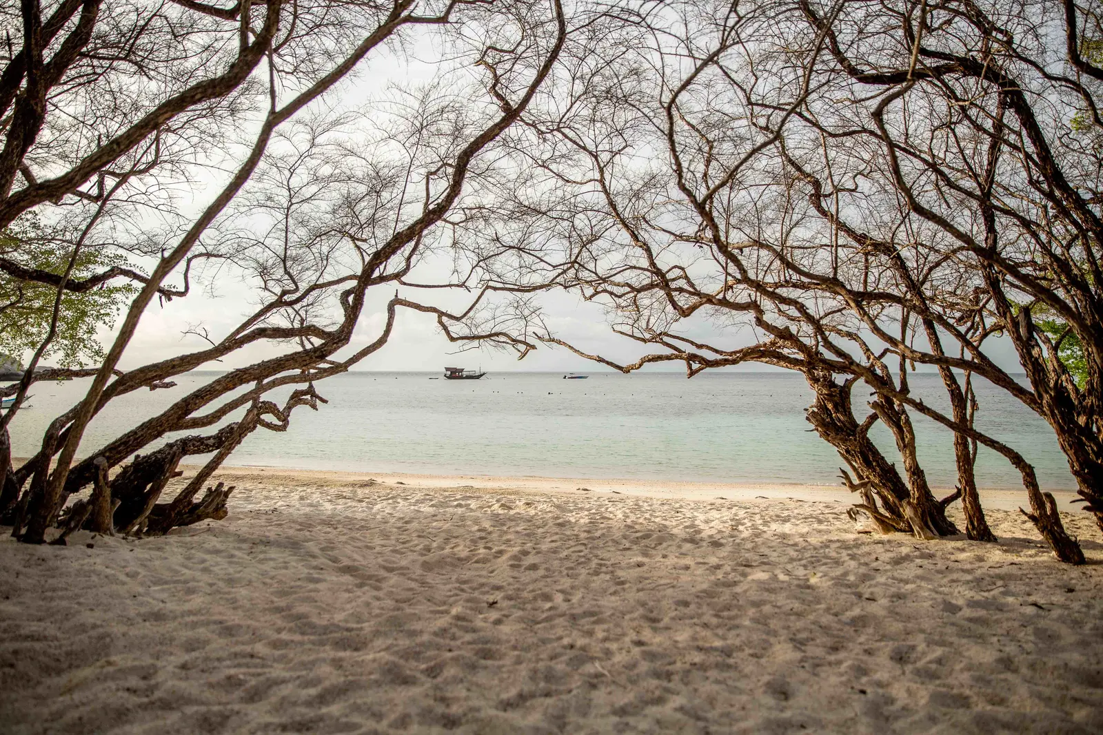 Koh Samui