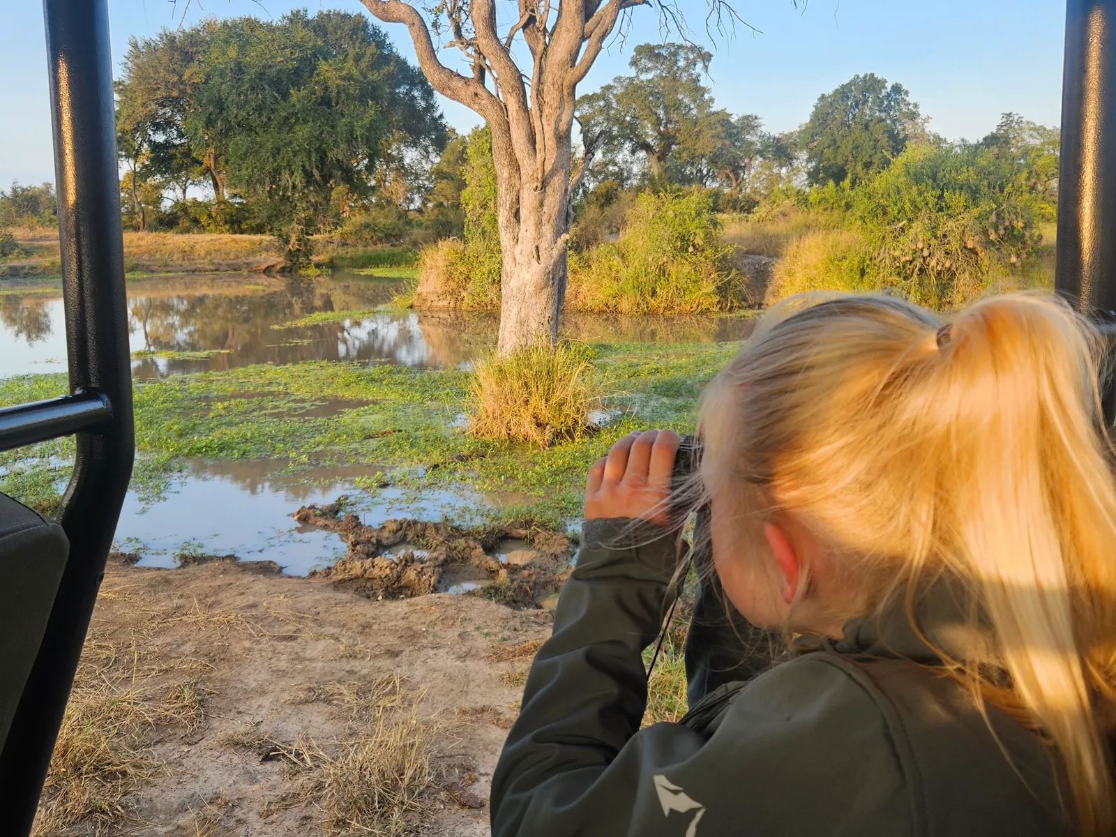 Meisje met verrekijker op safari, Manyeleti Game Drive